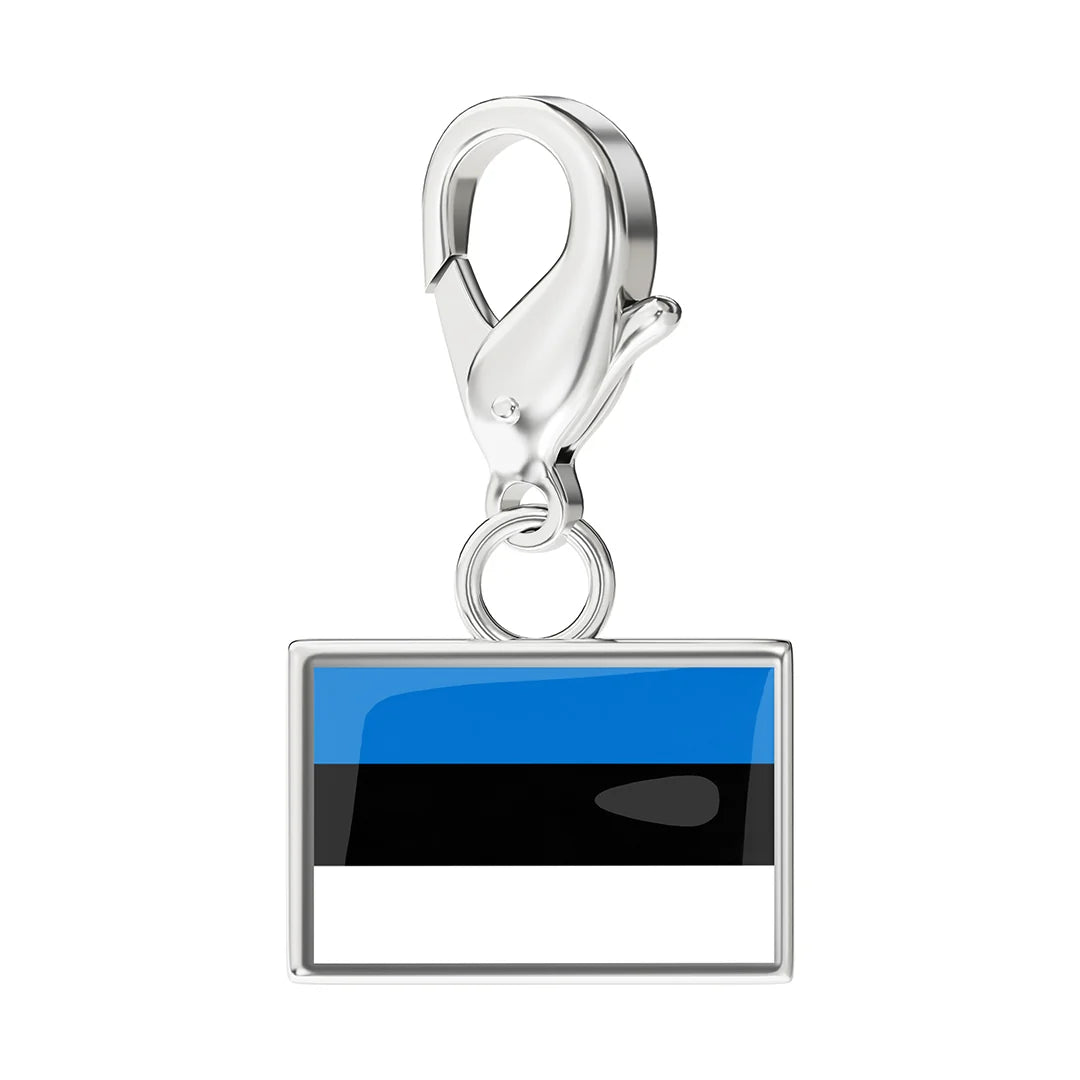 EveryPlace - Premium 316L Stainless Steel Flag Charms