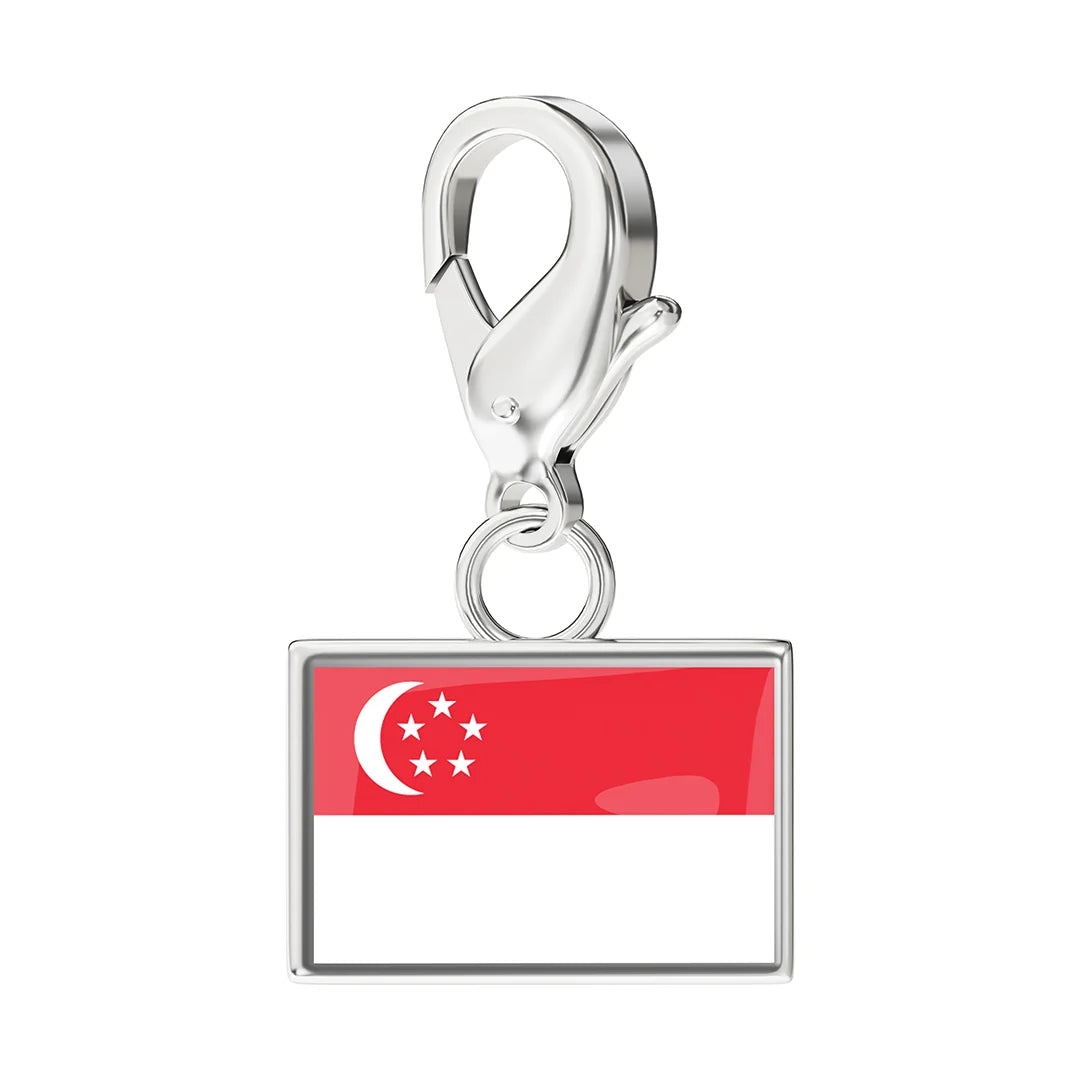 EveryPlace - Premium 316L Stainless Steel Flag Charms