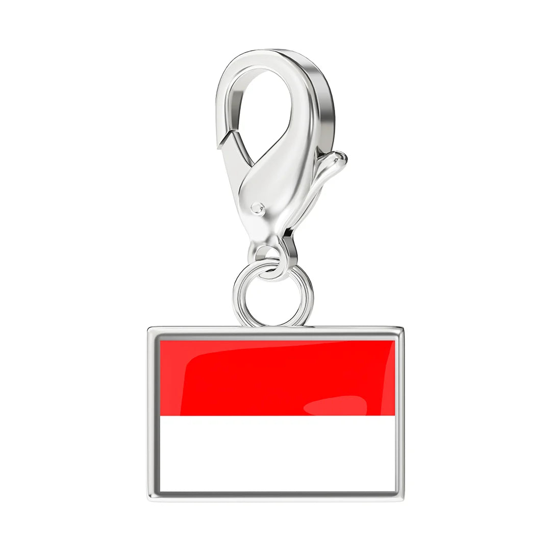 EveryPlace - Premium 316L Stainless Steel Flag Charms