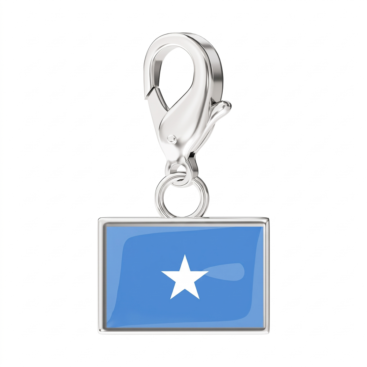 EveryPlace - Premium 316L Stainless Steel Flag Charms