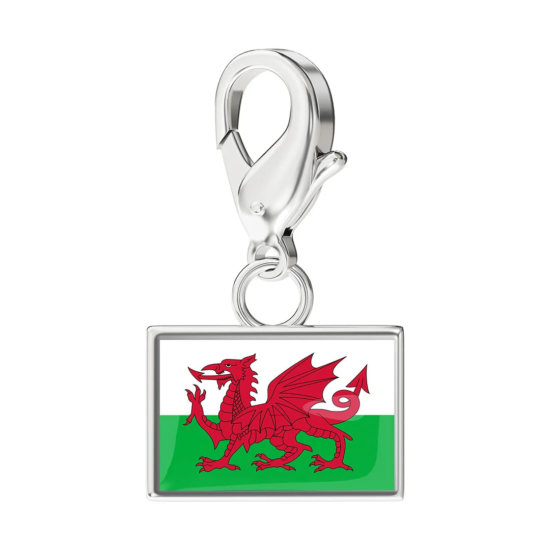 EveryPlace - Premium 316L Stainless Steel Flag Charms